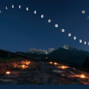 Meet your Posher, Jillian